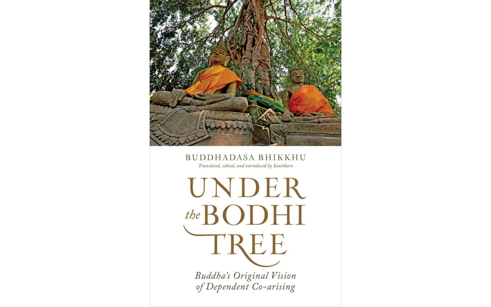 Under the Bodhi Tree