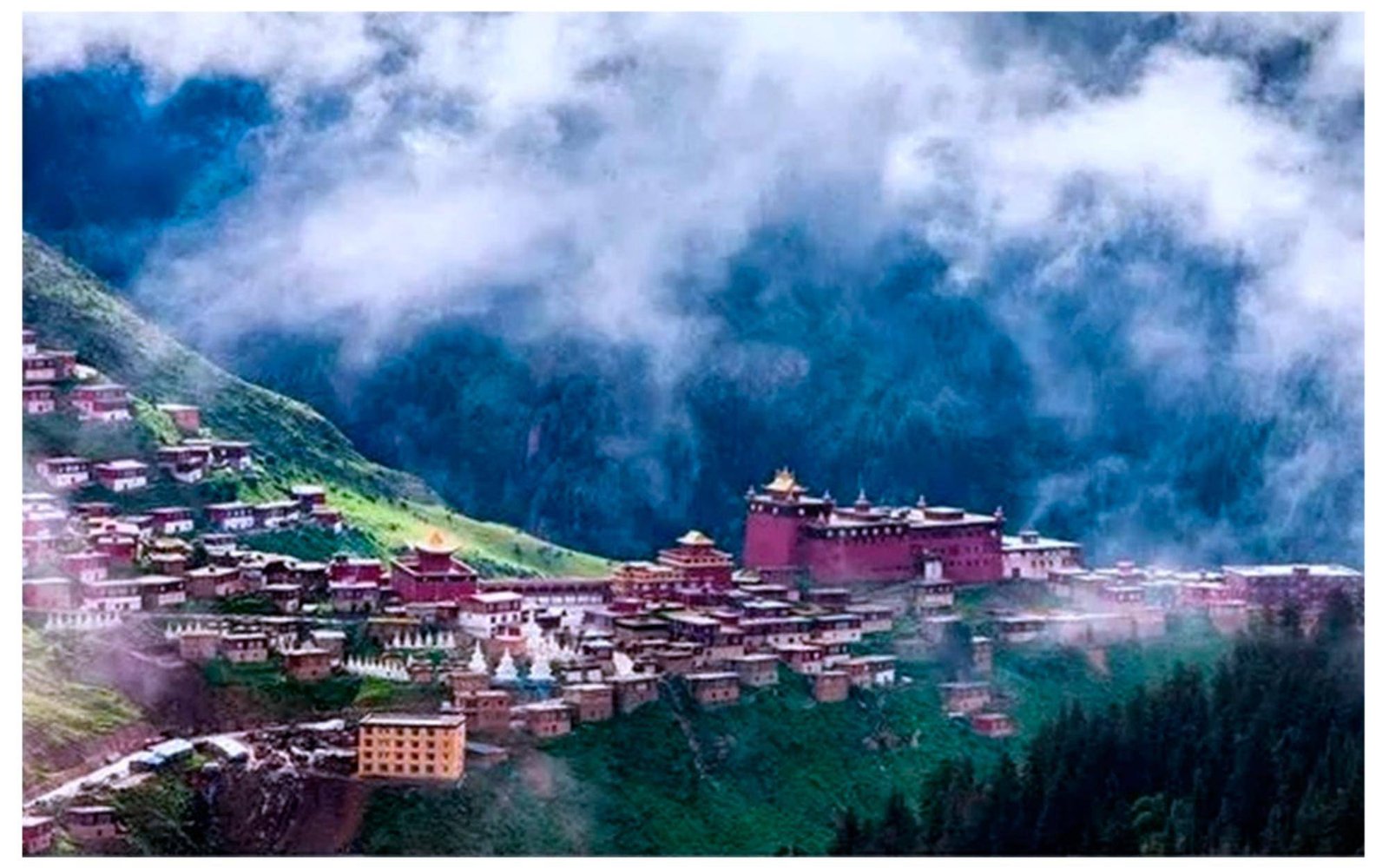 The positive influence of Tibetan Buddhist monasteries on forest conservation