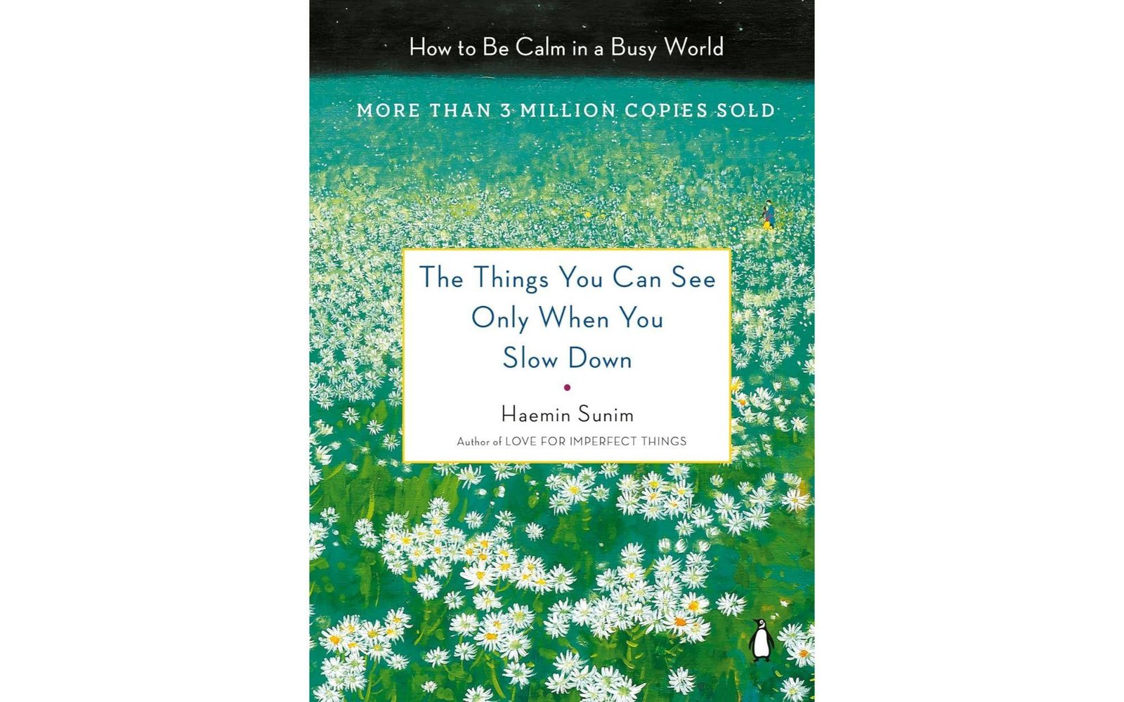 The Things You Can See Only When You Slow Down: How to Be Calm in a Busy World