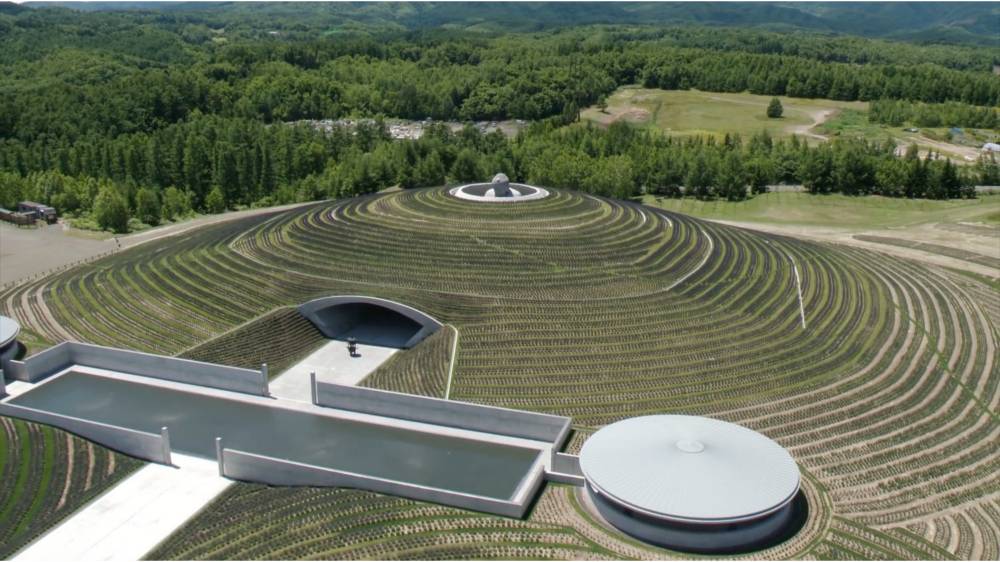 Envelops Giant Buddha Statue in Lavender Planted Hill Temple by Tadao Ando